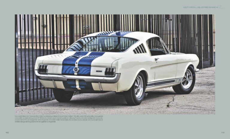 FORD Mustang (expédition le 04/11/2020)